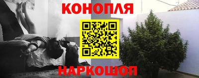 сатива Аргун
