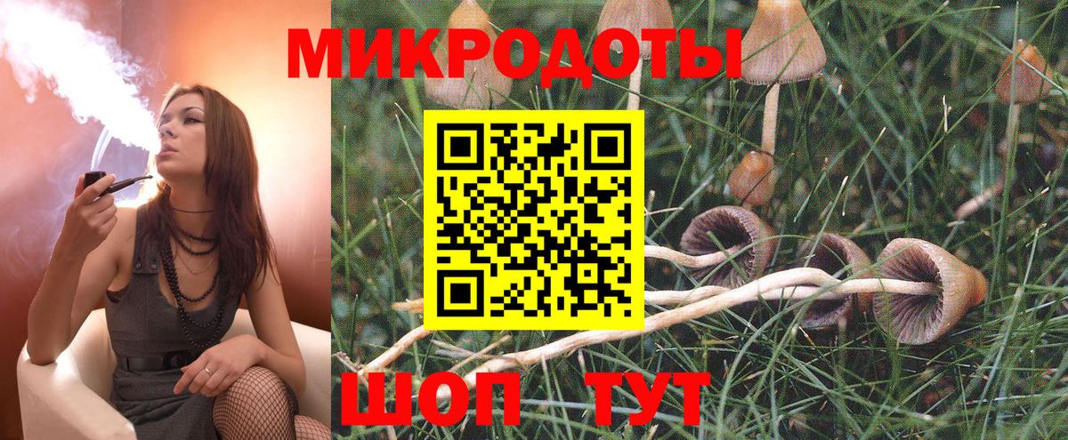 Псилоцибиновые грибы мухоморы Бугульма